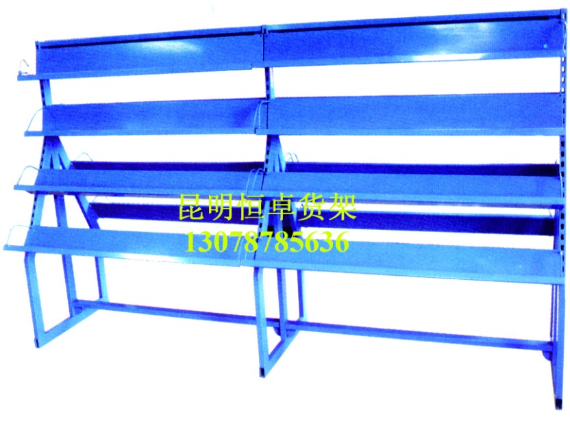 HZ-04型双面图书架