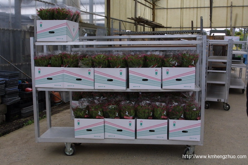 HZ-558型花车货架