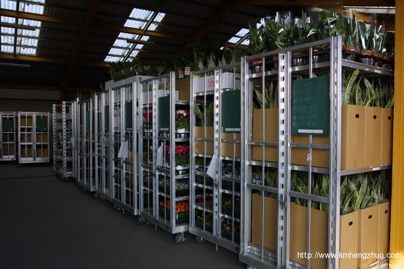 HZ-558型花车货架